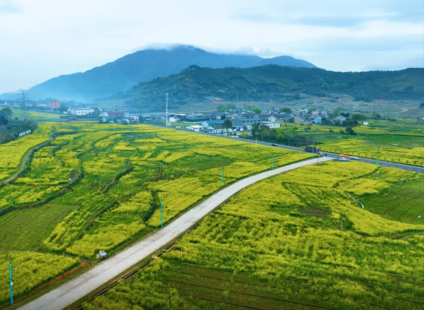 奉化極美鄉(xiāng)村雷山青創(chuàng)農(nóng)村基地